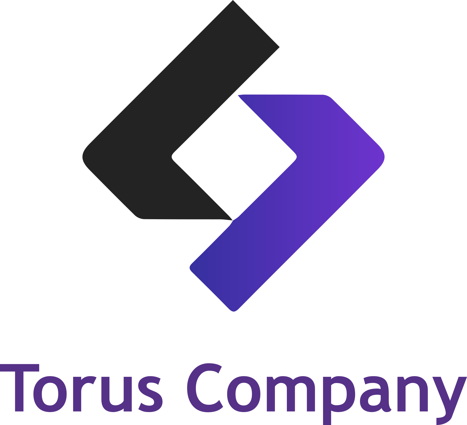 Torus Company